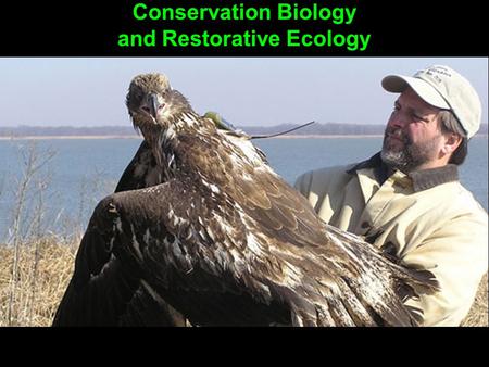 Conservation Biology and Restorative Ecology. What matters most in an ecosystem: BIODIVERSITY Genetic diversity Species diversity Ecosystem diversity.