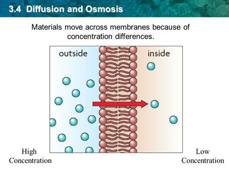 Materials move across membranes because of concentration differences.