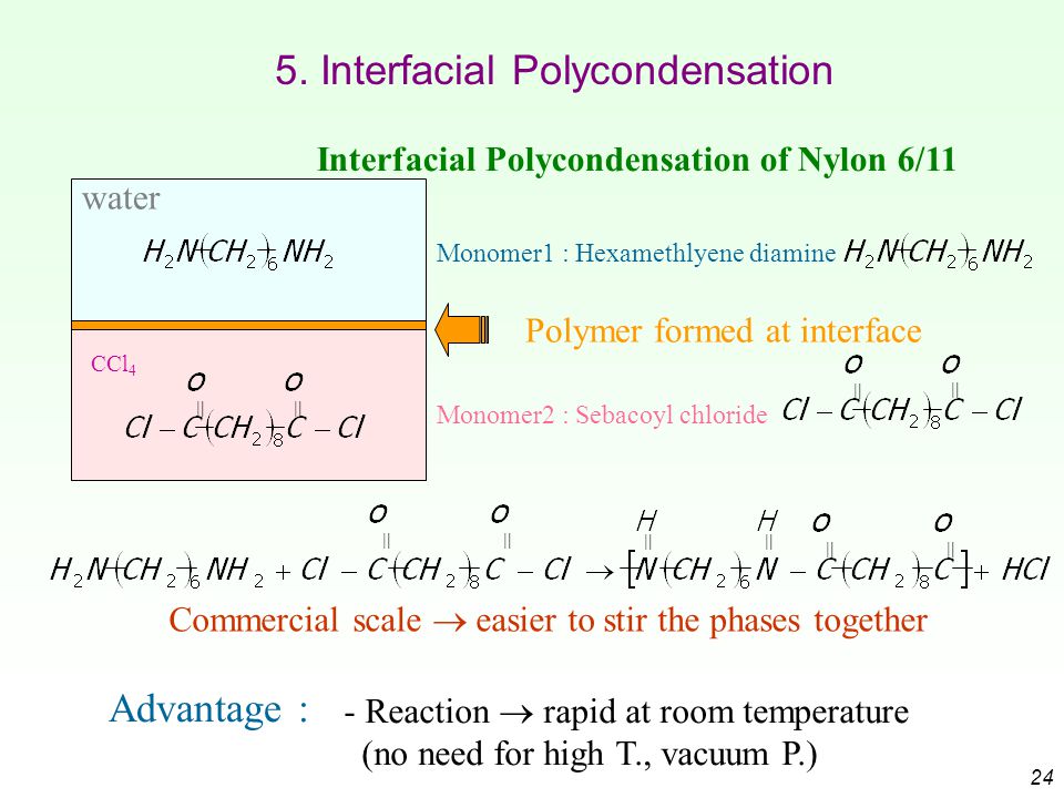 download phyllotaxis: a systemic study in plant morphogenesis