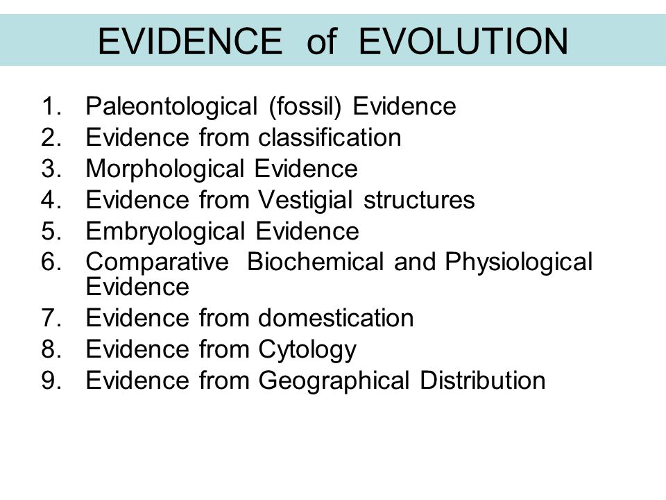 download Sciences économiques