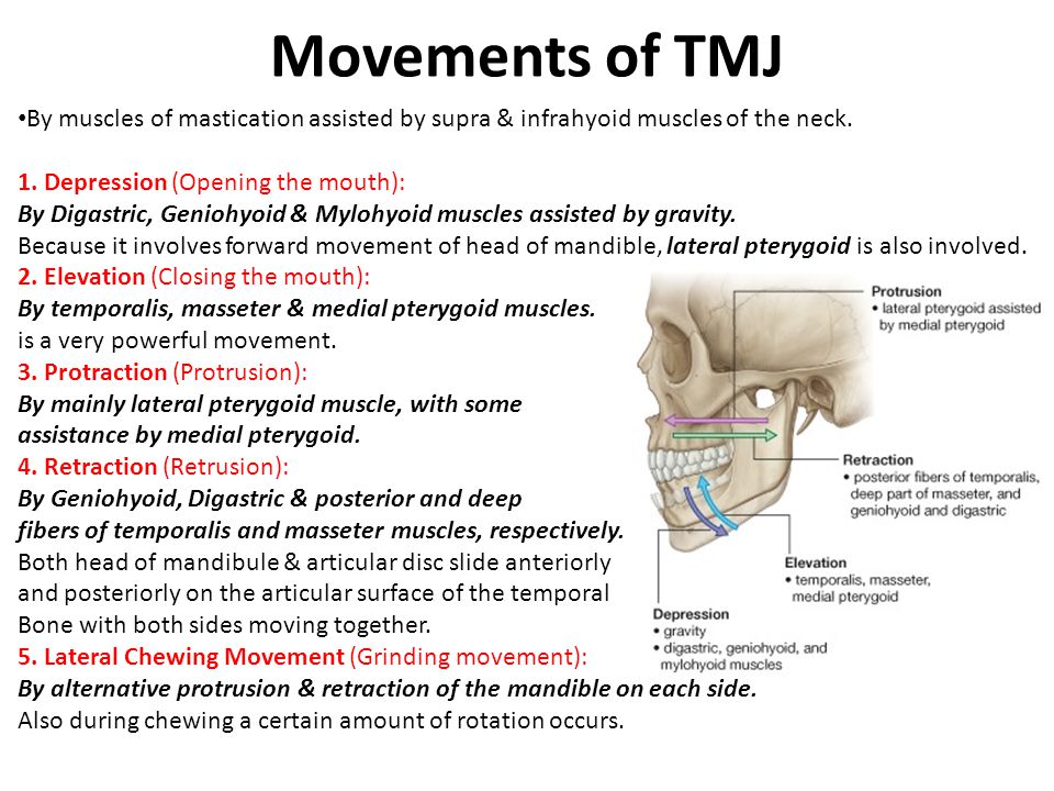 download theory of