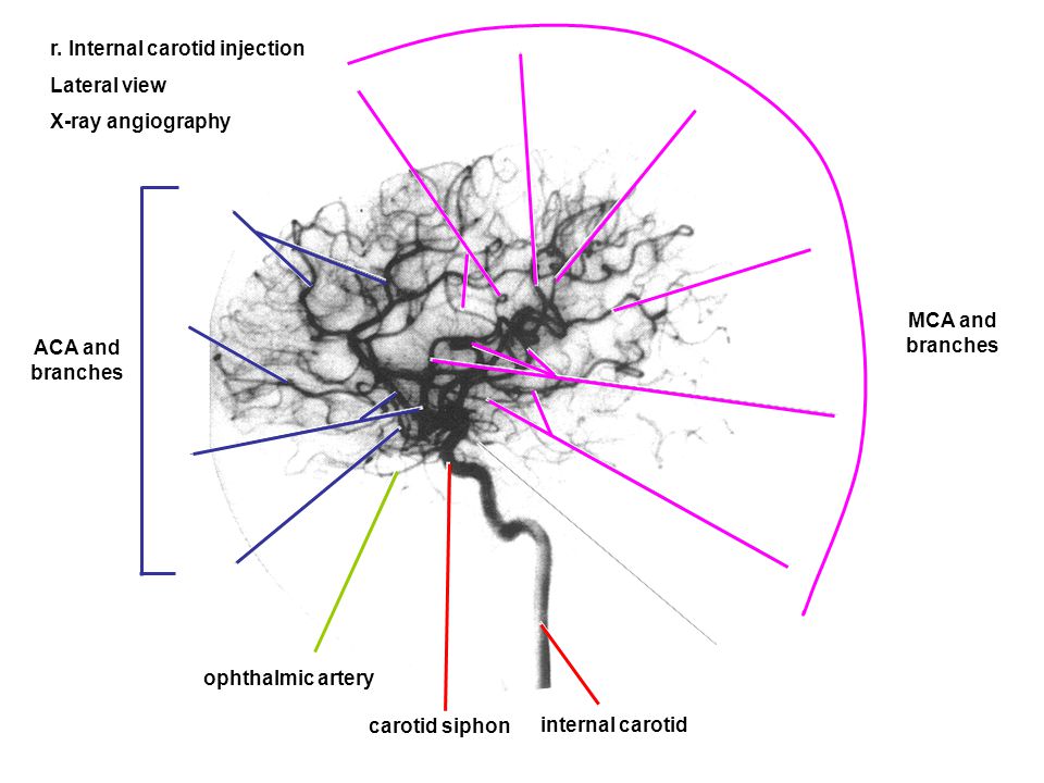 download synchronicity an acausal connecting principle 2010