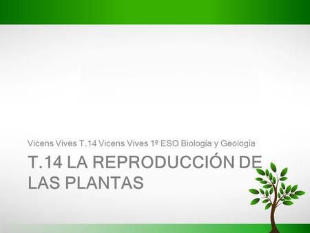 T.14 la reproducción de las plantas