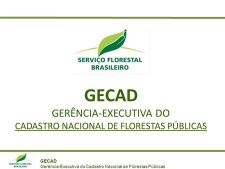 GECAD Gerência-Executiva do Cadastro Nacional de Florestas Públicas GECAD GERÊNCIA-EXECUTIVA DO CADASTRO NACIONAL DE FLORESTAS PÚBLICAS.