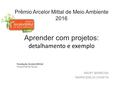 Prêmio Arcelor Mittal de Meio Ambiente 2016 Aprender com projetos: detalhamento e exemplo MAIRY BARBOSA MARIA EMÍLIA CAIXETA.