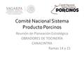 Comité Nacional Sistema Producto Porcinos Reunión de Planeación Estratégica OBRADORES DE TOCINERÍA CANACINTRA Ramas 14 y 21.