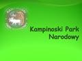 Kampinoski Park Narodowy został utworzony 16 I 1959 roku dzięki staraniom prof. Romana Kobendzy (na zdjęciu). Położony jest na Nizinie Środkowomazowieckiej,