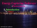Energy Capturing Pathways (Photosynthesis) I. Introduction A. History.