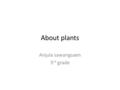 About plants Anjula sawangsaen 3 rd grade. facts Living things grow and die. Living things are made up of cells.