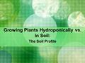 Growing Plants Hydroponically vs. In Soil: The Soil Profile.