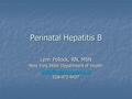 Perinatal Hepatitis B Lynn Pollock, RN, MSN New York State Department of Health 518-473-4437.