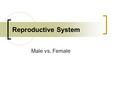 Reproductive System Male vs. Female. Engage You will be watching a development clip from PBS video Universe Within.