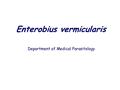 Enterobius vermicularis Department of Medical Parasitology.