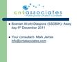 Bosnian World Diaspora (SSDBIH)- Away day 9 th December 2011 Your consultant- Mark James