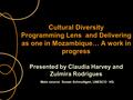 Cultural Diversity Programming Lens and Delivering as one in Mozambique… A work in progress Presented by Claudia Harvey and Zulmira Rodrigues Main source.
