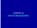 Chapter 42: Animal Reproduction CHAPTER 42 Animal Reproduction.
