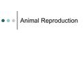 Animal Reproduction. Asexual vs. Sexual Reproduction Asexual Reproduction: The creation of new individuals whose genes all come from one parent without.