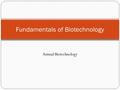 Animal Biotechnology Fundamentals of Biotechnology.