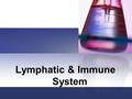 Lymphatic & Immune System. Function and Structures of the Lymph System Two functions of the lymphatic system: 1. Absorb fats and vitamins from digestive.