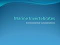 Environmental Considerations. 35 phyla of invertebrates Half are entirely marine Introduction.