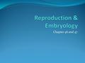Chapter 46 and 47. Asexual Reproduction Fission Fragmentation and regeneration Budding Parthenogenesis.