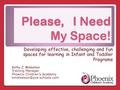 Please, I Need My Space! Developing effective, challenging and fun spaces for learning in Infant and Toddler Programs Kathy Z. Mikkelson Training Manager.