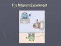 The Milgram Experiment. The Milgram Experiment was a series of social psychology experiments conducted in the early 1960s by Yale University psychologist.