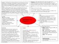 Belonging and Fitting in. Literacy “Cloud Busting” by Malorie Blackman as whole class topic focus for literacy work. Autobiography and Biography…Analysing.