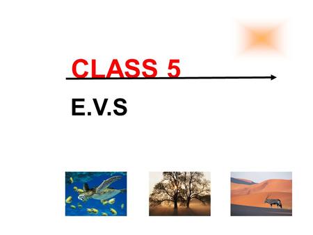 CLASS 5 E.V.S. prepared by:- Virender Singh Verma.