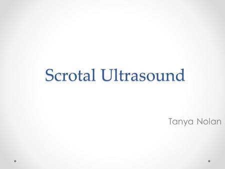 Scrotal Ultrasound Tanya Nolan. 2 Scrotal Anatomy or Globus Major Or Globus Minor Covers testes Tunica Vaginalis Lines inner walls of scrotum Fused tubules.
