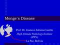 Monge´s Disease Prof. Dr. Gustavo Zubieta-Castillo High Altitude Pathology Institute (IPPA) La Paz, Bolivia.