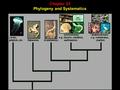 Chapter 25 Phylogeny and Systematics. The Fossil Record And Geologic Time Chapter 25 Phylogeny and Systematics.