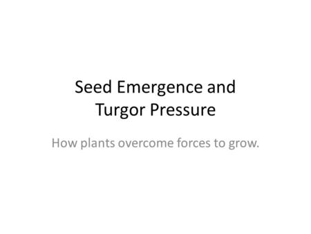 Seed Emergence and Turgor Pressure How plants overcome forces to grow.