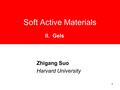 11 Soft Active Materials Zhigang Suo Harvard University II. Gels.