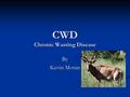 CWD Chronic Wasting Disease By Kevin Moran. Name CWD or chronic wasting disease which is a transmissible disease caused by a spongiform encephalopathy.