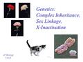 Genetics: Complex Inheritance, Sex Linkage, X-Inactivation AP Biology Unit 3.