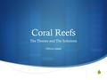  Coral Reefs The Threats and The Solutions Olivia Lahaie.