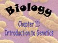 Genetics – the branch of biology that studies heredity Heredity – the passing on of traits from parent to offspring Chromosomes – the genetic material.