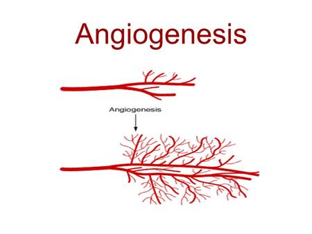 Angiogenesis. CONTENTS DEFINITION TYPE PATHOLOGY EFFECT MECHANISM.