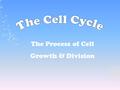 The Process of Cell Growth & Division. 1. How is the life cycle of a human and a single cell similar? 1. How is the life cycle of a human and a single.
