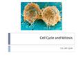 Cell Cycle and Mitosis 9.1 Cell Cycle. What is the cell cycle?  Repeating series of events  Five stages  Interphase (3 parts)  G 1  S  G 2  M phase.