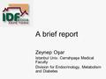 A brief report Zeynep Oşar Istanbul Univ. Cerrahpaşa Medical Faculty Division for Endocrinology, Metabolism and Diabetes.