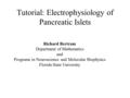 Tutorial: Electrophysiology of Pancreatic Islets Richard Bertram Department of Mathematics and Programs in Neuroscience and Molecular Biophysics Florida.