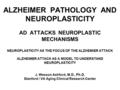 ALZHEIMER PATHOLOGY AND NEUROPLASTICITY AD ATTACKS NEUROPLASTIC MECHANISMS NEUROPLASTICITY AS THE FOCUS OF THE ALZHEMIER ATTACK ALZHEIMER ATTACK AS A MODEL.