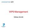 WP0 Management Gillian Armitt. Outline Objectives for Year 2 Progress Issues resolved/outstanding Forward planning Electronic submission of Form C.