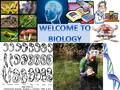  Bio= Life  ology= study of Biology is the study of living things. Chemistry focuses on the chemicals that comprise matter. Physics focuses on the.