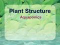 Plant Structure Aquaponics. Shoot system Root system Reproductive shoot (flower) Terminal bud Node Internode Blade Vegetable shoot Terminal bud Petiole.