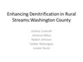Enhancing Denitrification in Rural Streams:Washington County Joshua Cockroft Johanna Nifosi Robert Johnson Geldar Matungwa Louise Yazzie.