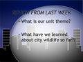 REVIEW FROM LAST WEEK »What is our unit theme? »What have we learned about city wildlife so far??