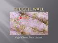 Nigel Gibson, Nick Lazzati.  The cell wall protects the cell and its organelles  It gives the cell a defined shape  It keeps the innards of the cell.